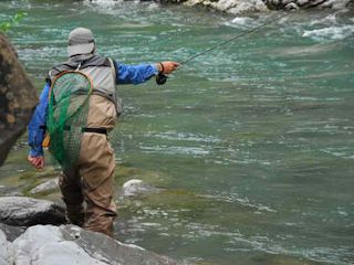 Partie de pêche